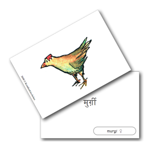 flashcard huhn